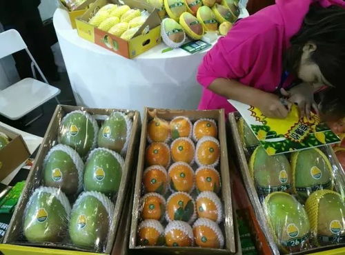 大豐收 攀枝花特色農(nóng)產(chǎn)品驚艷世博會 銷售額達(dá)500萬元,項(xiàng)目簽約13億元