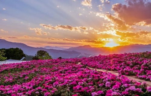 中秋國慶避開人人人 攀枝花這幾處小眾打卡地,再也藏不住了