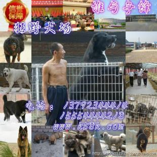 攀枝花肉狗養(yǎng)殖場(chǎng)肉狗苗崽價(jià)格_農(nóng)副產(chǎn)品_世界工廠(chǎng)網(wǎng)