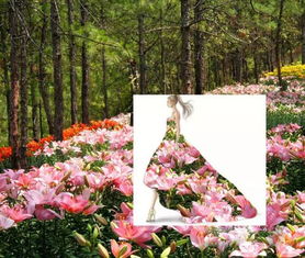 她們把攀枝花的水果 蔬菜 美景 穿上身,美哭了