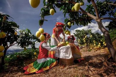 帶著陽光、帶著果香,帶著&ldquo;康養+&rdquo;,北京!東區來了&middot;&middot;&middot;&middot;&middot;&middot;_財經_網