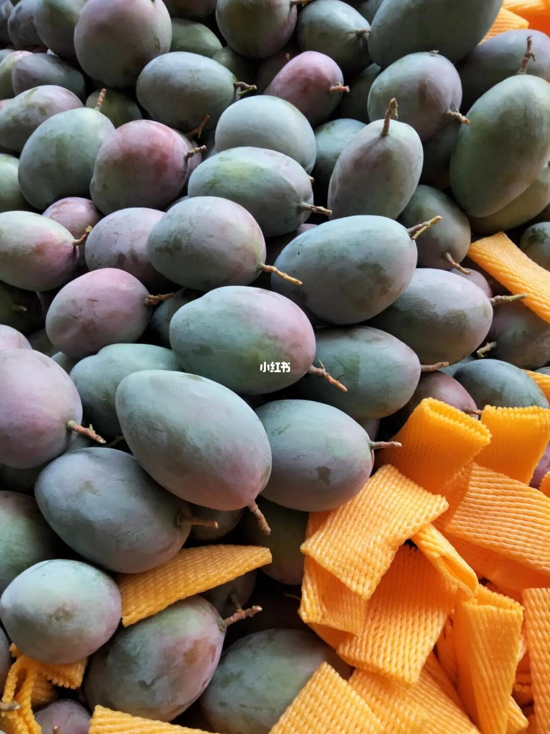 四川攀枝花優質基地農產品當季新鮮現摘現發凱特芒果十斤整箱包郵