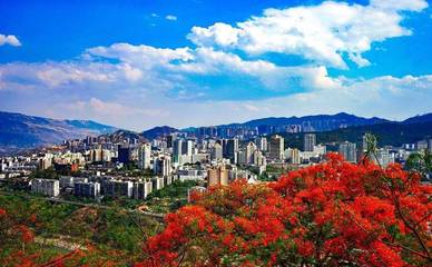 你一定想不到,過去這半年空氣質(zhì)量優(yōu)良率排第一的是一座鋼城