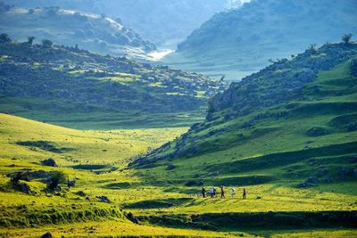 邁步"詩與遠方"新征程!攀枝花市6個重大文旅項目正穩(wěn)步推進