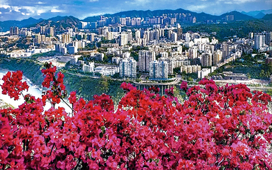 攀枝花 - 東 區(qū) ( 景區(qū) )